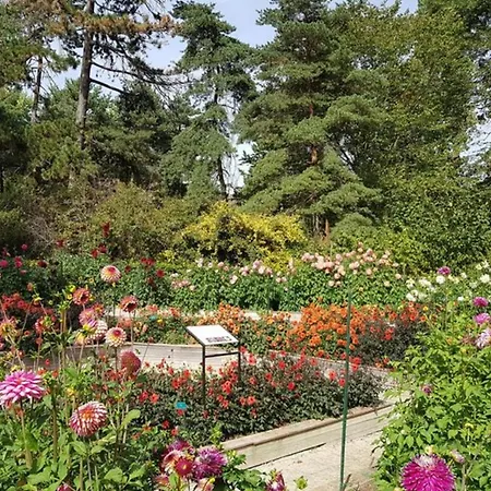 Hotel Dans T3 Proche Du Bois De Vincennes Paris